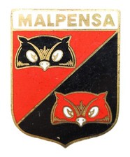 Distintivo smaltato johnson usato  Sarzana