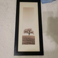 Alan blaustein lone for sale  Baton Rouge