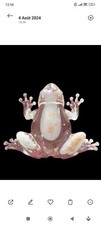 Grenouille décorative résine d'occasion  Vergt