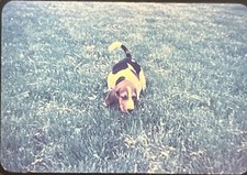 Vintage photo slide for sale  Marcellus
