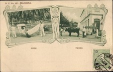 Passepartout funchal insel gebraucht kaufen  Berlin