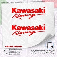 Adesivi kawasaki racing usato  Pontassieve