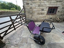 Shetland pony carriage for sale  HYDE