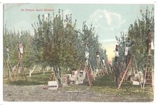 Apple orchards pickers for sale  Brunswick