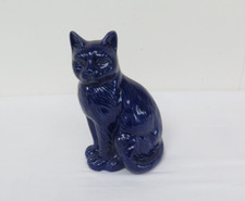 Large cat kitten for sale  HASSOCKS