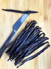 Vanilla beans single for sale  New York
