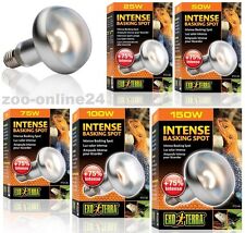 Exo terra intense gebraucht kaufen  Wunstorf