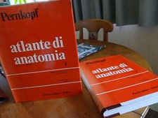 Atlante anatomia piccin usato  Montecatini Terme