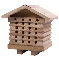 Wildlife solitary bee for sale  ALLOA