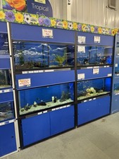 4ft fish tank for sale  TAMWORTH