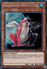 Permutation toad secret d'occasion  Expédié en Belgium