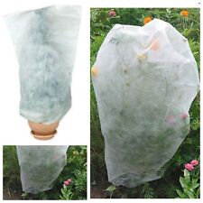 Frost plant protection for sale  READING
