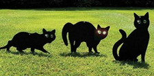 3teilige lebensgroße katzen gebraucht kaufen  Buchholz i.d. Nordheide