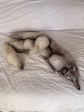 Silberfuchs pelzstola pelzkrag gebraucht kaufen  Grüna