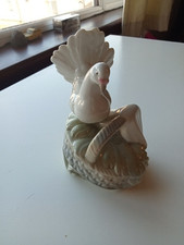 Porceval villamarchante dove for sale  BEITH