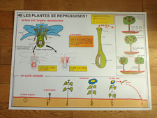 Affiche scolaire rossignol d'occasion  Champigneulles
