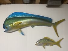 Mahi mahi half for sale  Meredith