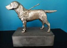 Lejeume blind dog for sale  DONCASTER