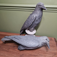 Two black crow for sale  SIDMOUTH
