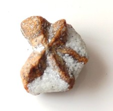 Staurotide staurolite peninsul d'occasion  Digne-les-Bains