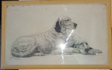 Belle grande litho d'occasion  Bidart