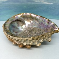 Perfect vtg abalone for sale  Happy Valley