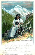 Berner berland berner gebraucht kaufen  Brachttal