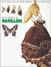 Chenille papillon paul d'occasion Chenille papillon paul d'occasion  Hennebont