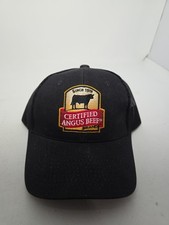 New certified angus for sale  Kenedy