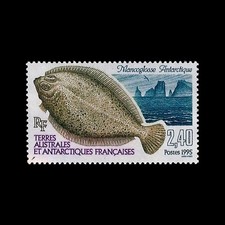 Timbre taaf 196 d'occasion Timbre taaf 196 d'occasion  Crécy-la-Chapelle