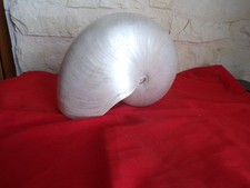 Large nautile pearl d'occasion  Expédié en Belgium