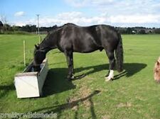 Horse pony paddock for sale  DARLINGTON