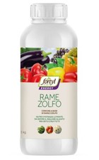 Copyr fortyl rame usato  Muro Lucano