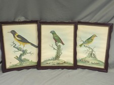 Three vintage bird for sale  Elmore