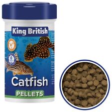 King british catfish for sale  WOLVERHAMPTON