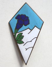 Ancien insigne dia d'occasion  France