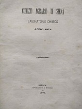 Siena 1874 laboratorio usato  Arezzo