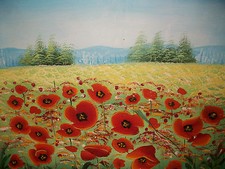 Orange order somme for sale  DUNGANNON