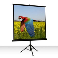 Celexon leinwand 184 gebraucht kaufen  Starnberg