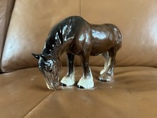 Beswick grazing shire for sale  NORTHAMPTON