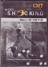 Shocking bulls pbr for sale  Montgomery