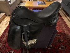Albion style dressage for sale  Boulder