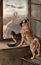 Cartão postal Chow Chow Chow Dog Cats Look Out Window anos 1900–20, usado comprar usado  Enviando para Brazil