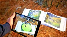 Ozark landscapes augmented for sale  Hot Springs Village