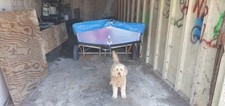 Part restored mirror for sale  POOLE