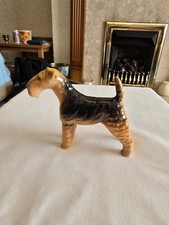 lakeland terrier for sale  LIVERSEDGE