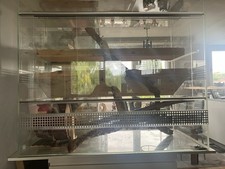 Glas terrarium 120 gebraucht kaufen  Bolanden