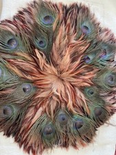Peacock feather wall for sale  Lake Havasu City