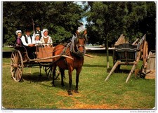 Groupe folklorique costume d'occasion  France