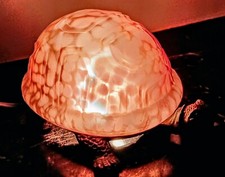 Turtle accent lamp for sale  Watertown